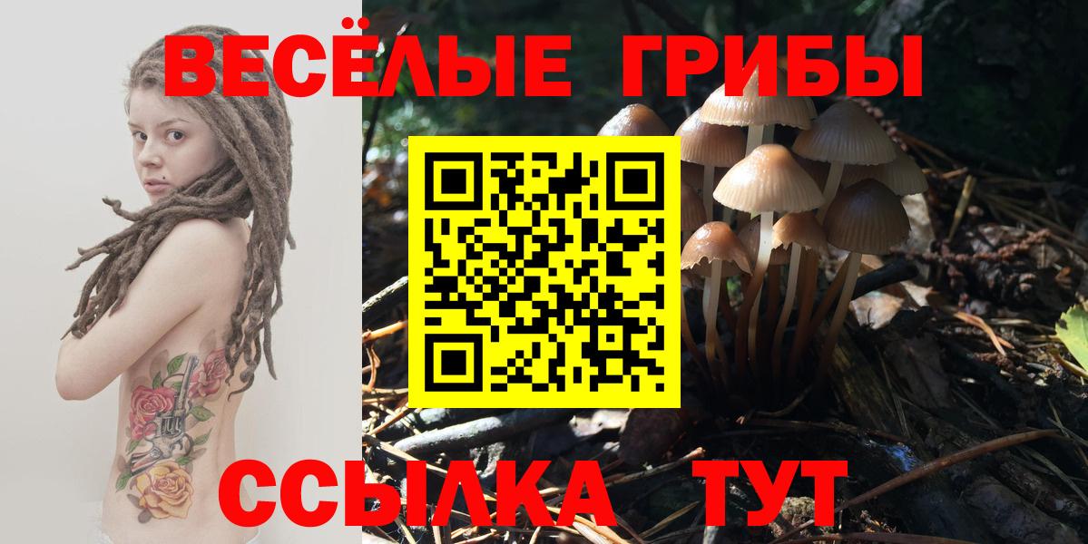 Галлюциногенные грибы ЛСД Лабытнанги